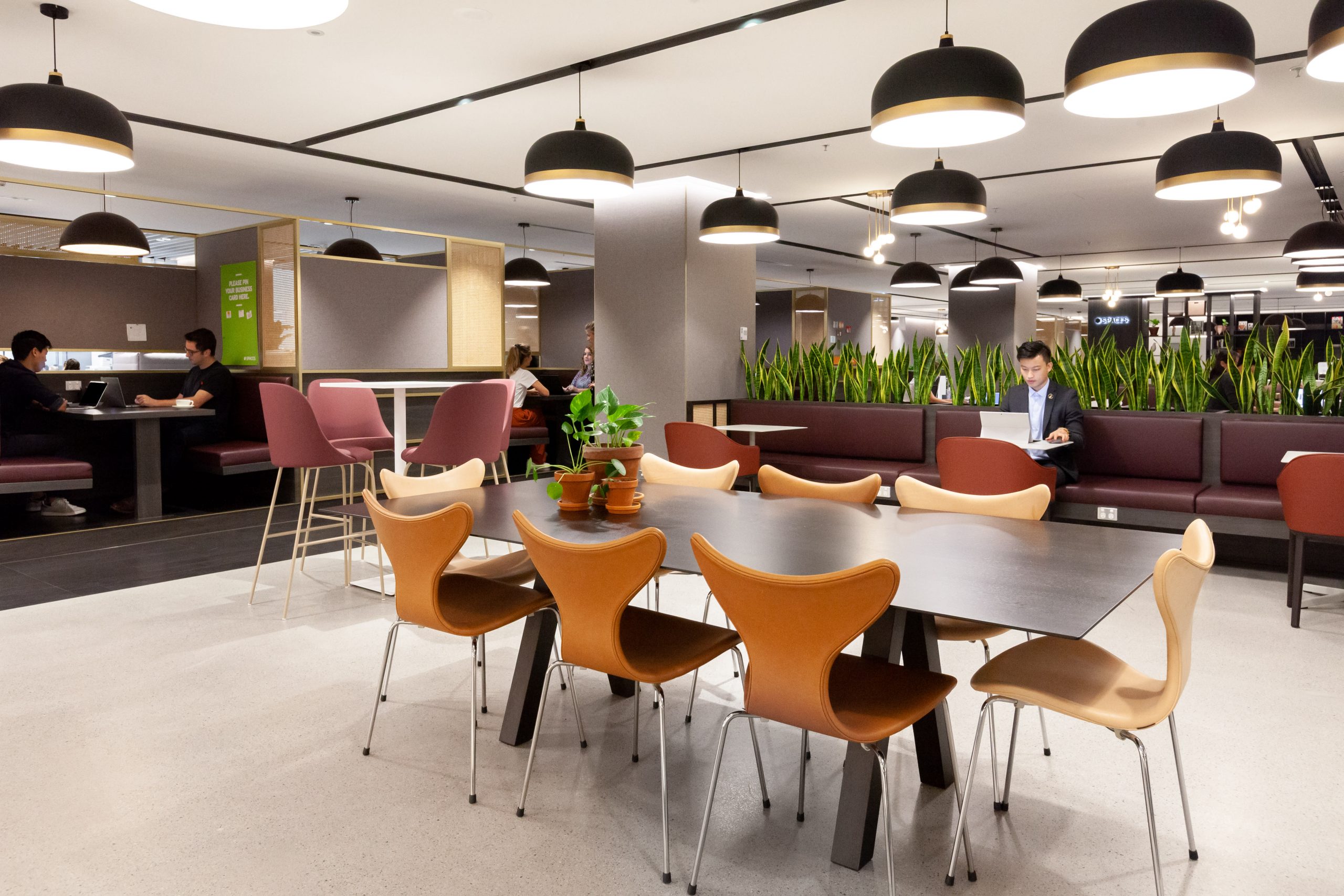 Coworking Spaces San Jerónimo